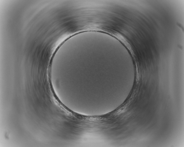 X0000102400958200808291442