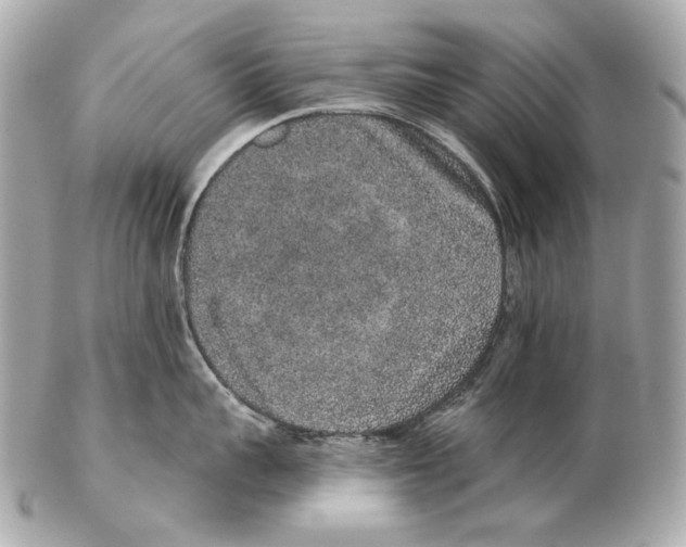 X0000102400959200808291442