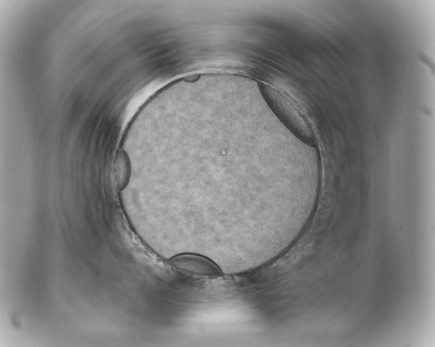 X0000102400960200808291442