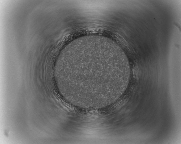 X0000102400961200808291442