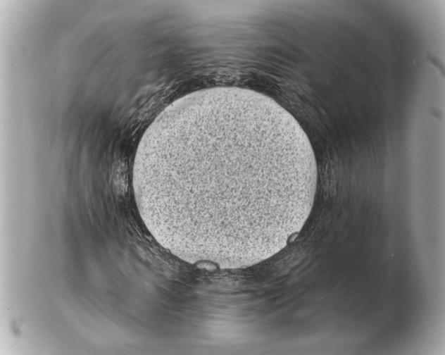X0000102400962200808291442