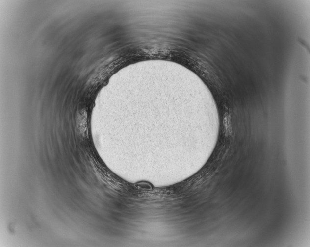 X0000102400963200808291442