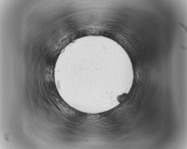 X0000102400964200808291442