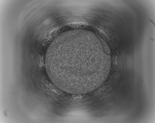 X0000102400965200808291442