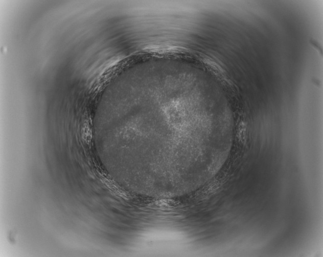 X0000102400966200808291442
