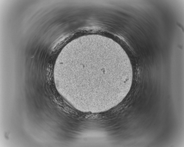 X0000102400967200808291442
