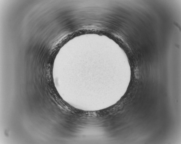 X0000102400968200808291442