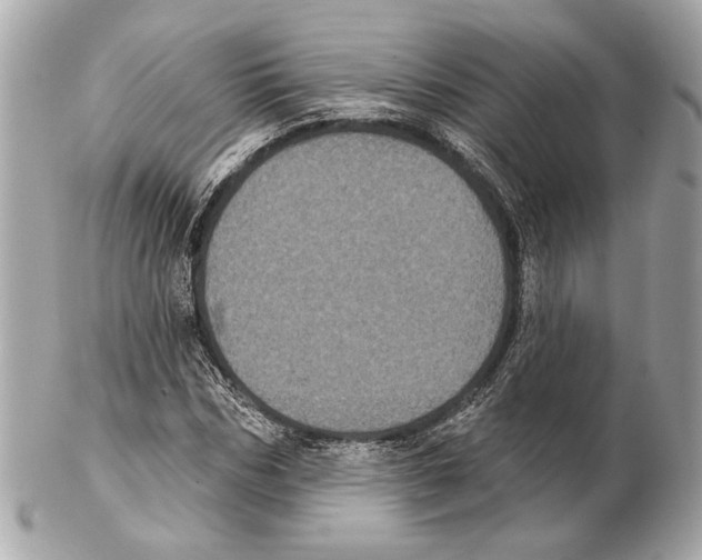 X0000102400970200808291442