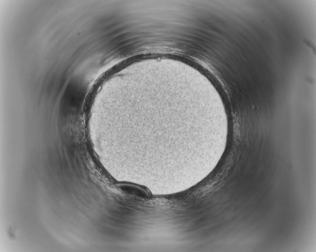 X0000102400971200808291442
