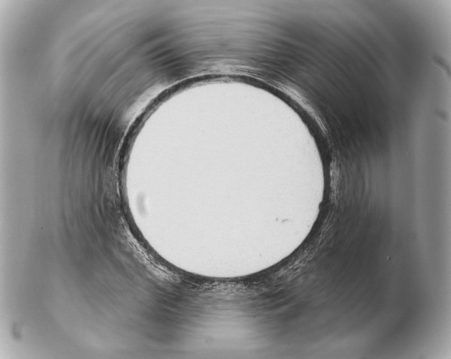 X0000102400972200808291442