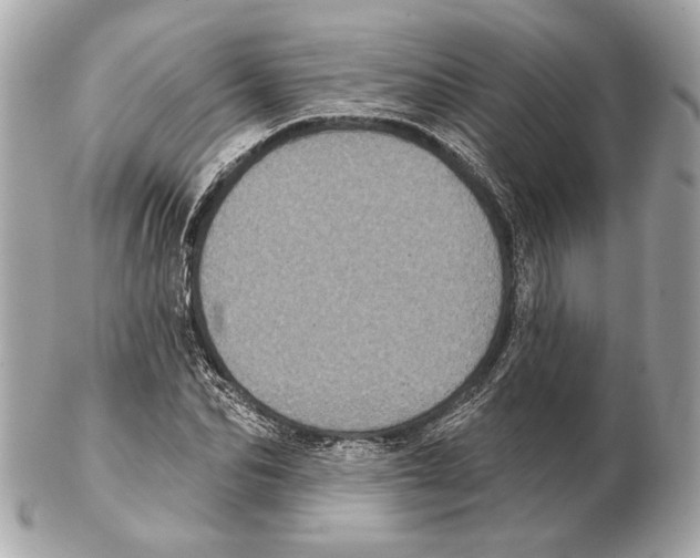 X0000102400974200808291442