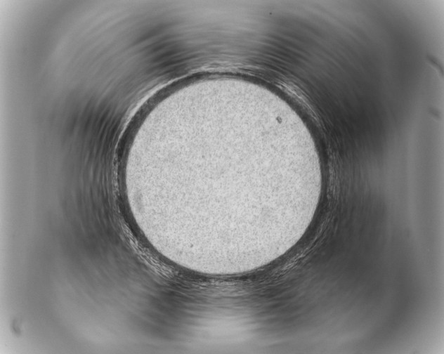 X0000102400976200808291442