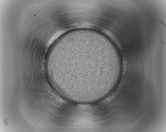 X0000102400978200808291442