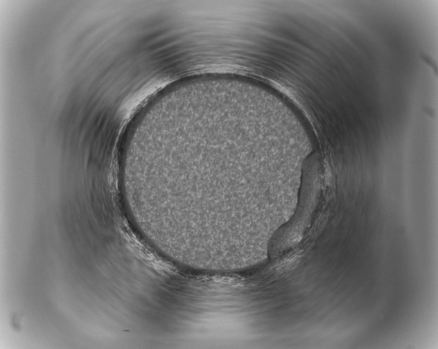 X0000102400979200808291442