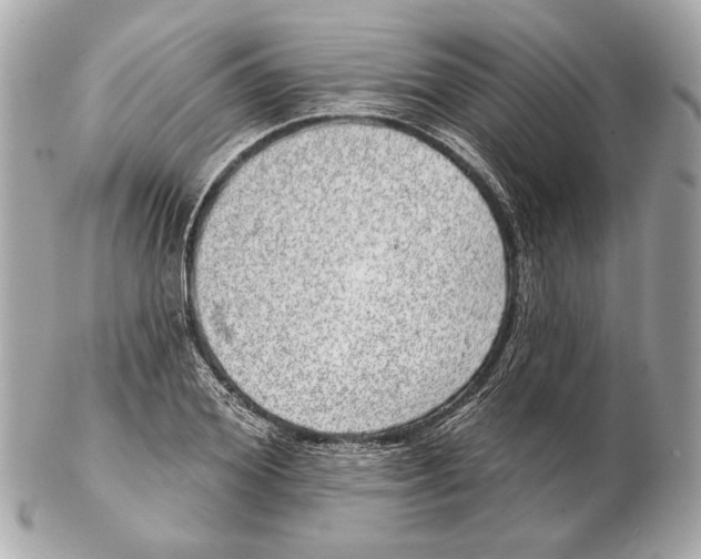 X0000102400980200808291442