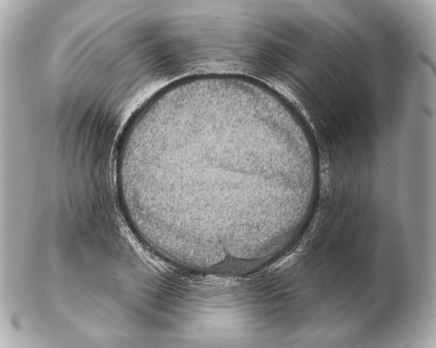 X0000102400981200808291442