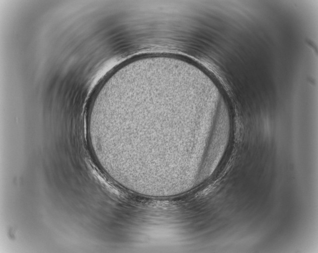 X0000102400982200808291441