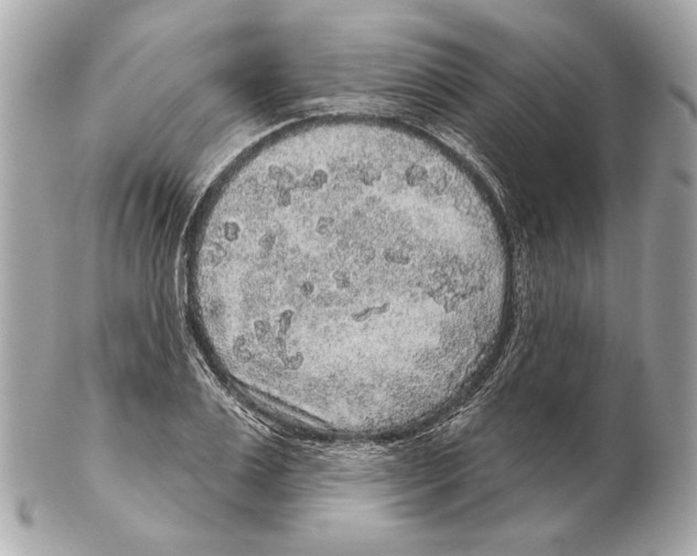X0000102400983200808291441