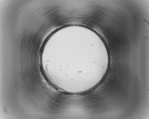 X0000102400984200808291441