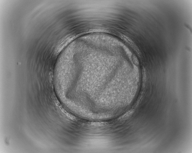 X0000102400985200808291441