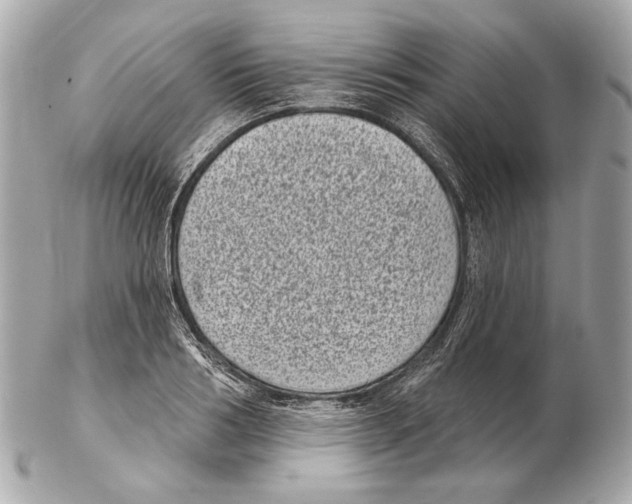 X0000102400986200808291441