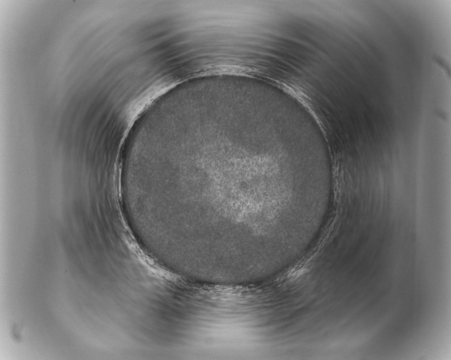X0000102400987200808291441