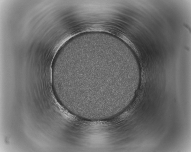 X0000102400988200808291441