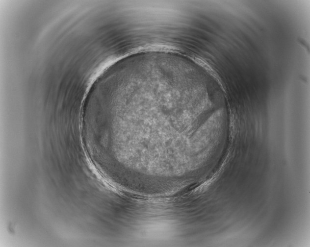 X0000102400989200808291441