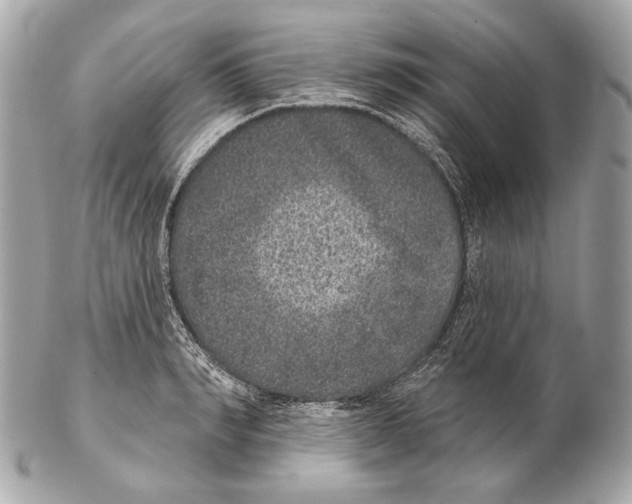 X0000102400990200808291441