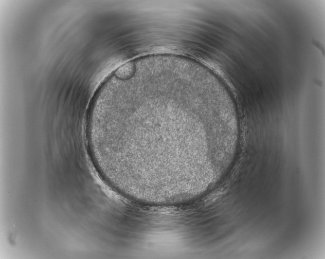 X0000102400991200808291441