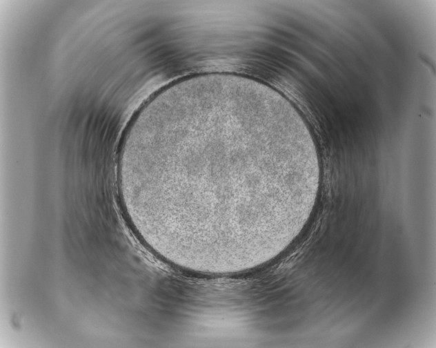 X0000102400992200808291441