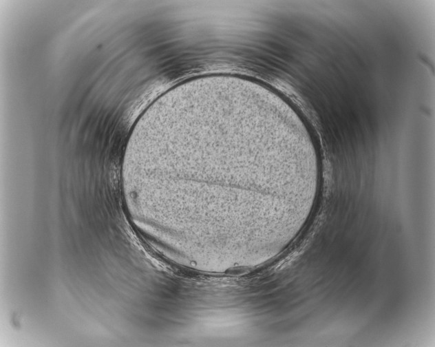 X0000102400993200808291441