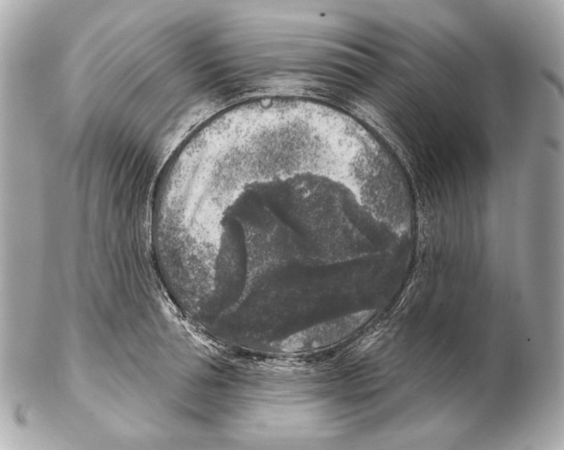 X0000102400994200808291441