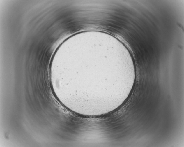 X0000102400996200808291441