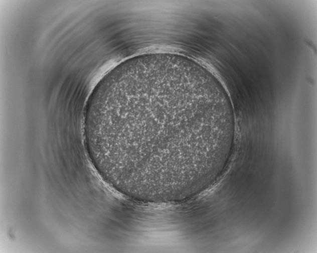 X0000102400997200808291441