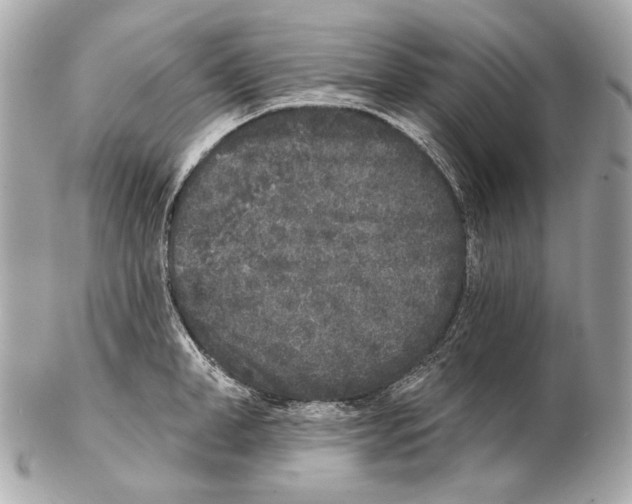 X0000102400998200808291441