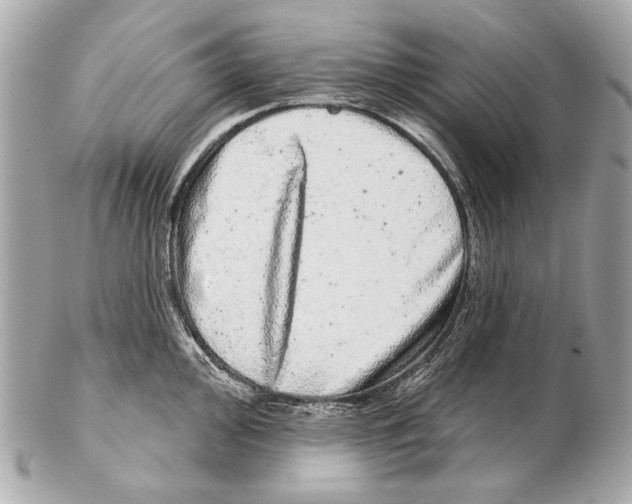 X0000102401000200808291441