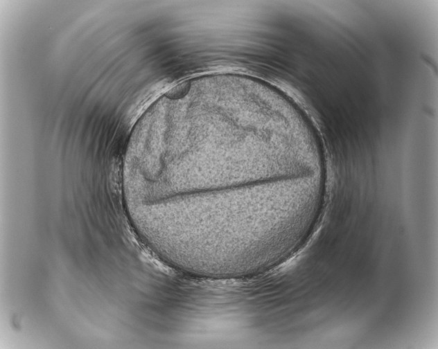 X0000102401001200808291441