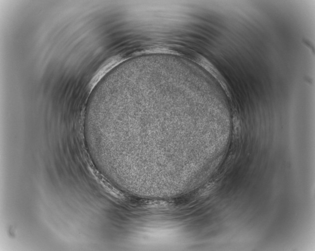 X0000102401002200808291441