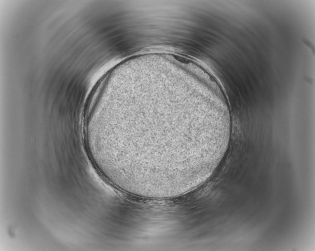X0000102401003200808291441