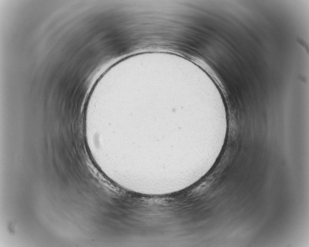 X0000102401004200808291441