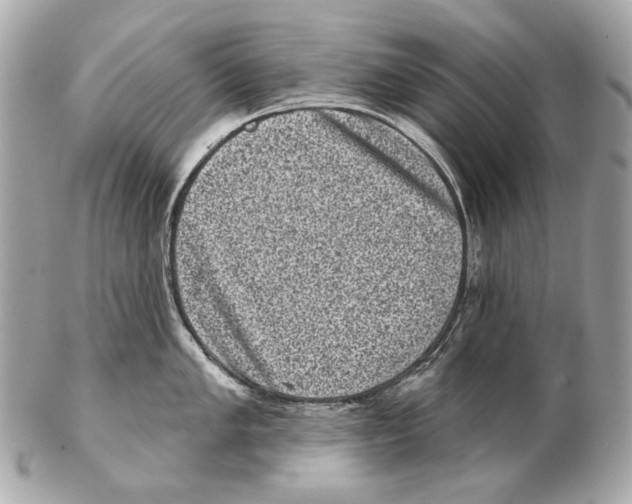 X0000102401005200808291441