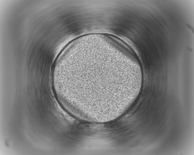 X0000102401006200808291441