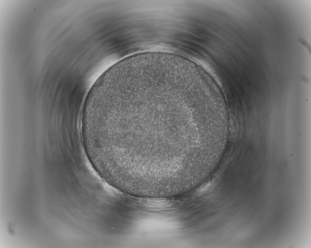 X0000102401007200808291441