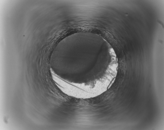 X0000102401009200808291440