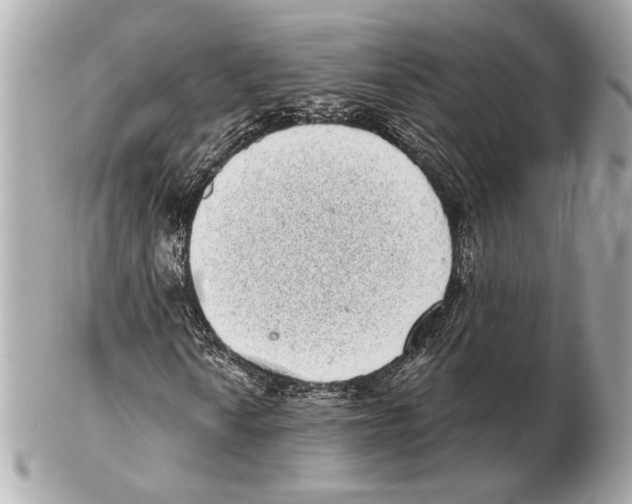 X0000102401010200808291440