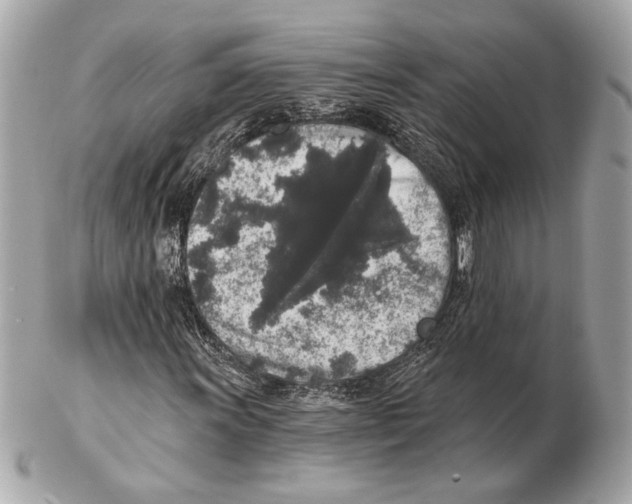 X0000102401011200808291440