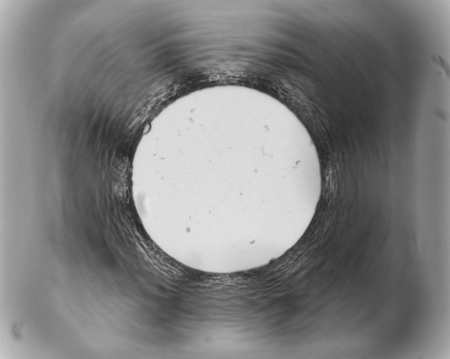 X0000102401012200808291441
