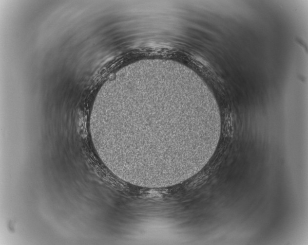 X0000102401013200808291441