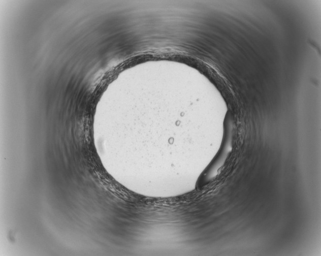 X0000102401016200808291441